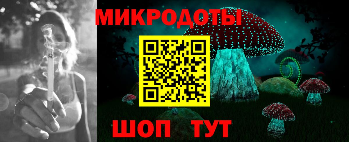 Галлюциногенные грибы Cubensis Канск